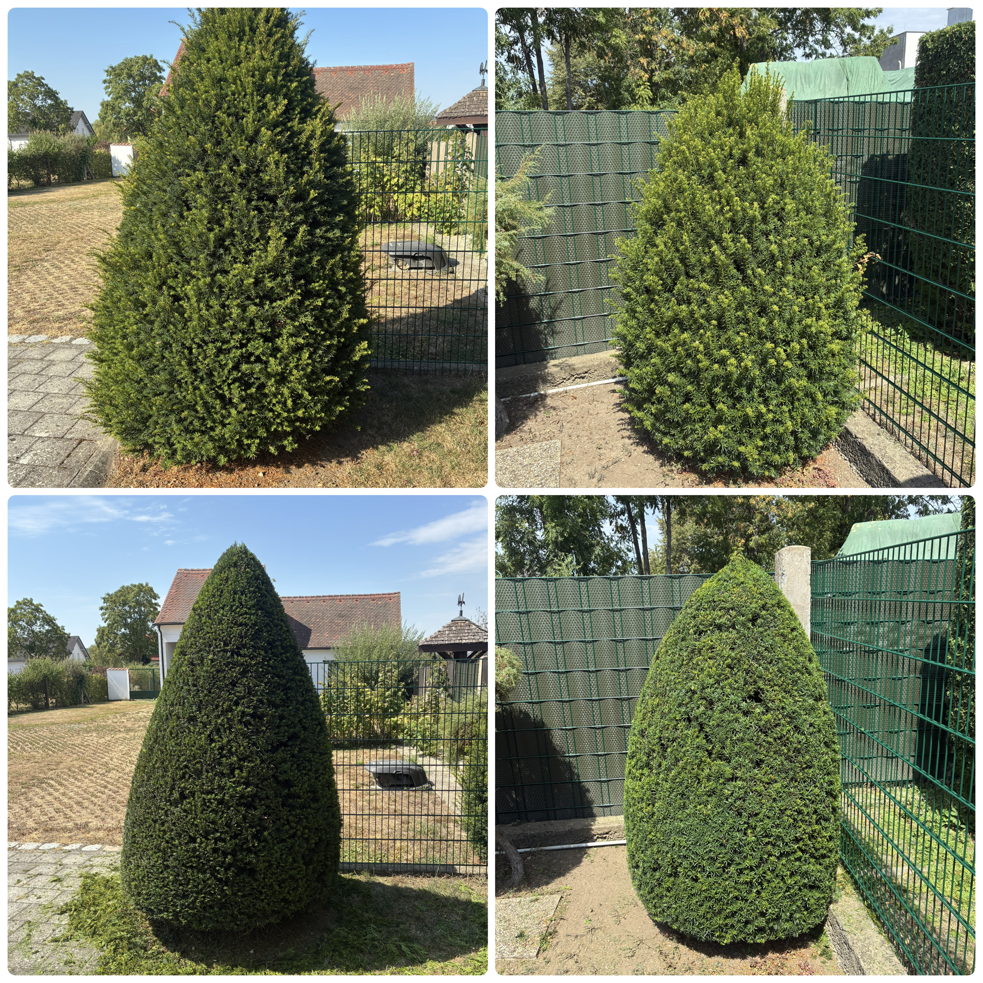 Gartenarbeit